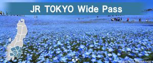 JR Tokyo Wide Pass wherejapan.com 2