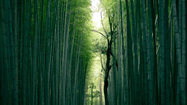 10 อันดับเมืองท่องเที่ยวในประเทศญี่ปุ่น-Wherejapan-ญี่ปุ่นไปไหนดี